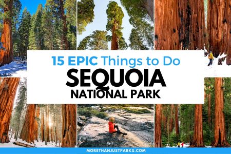 sequoia-national-park.jpg