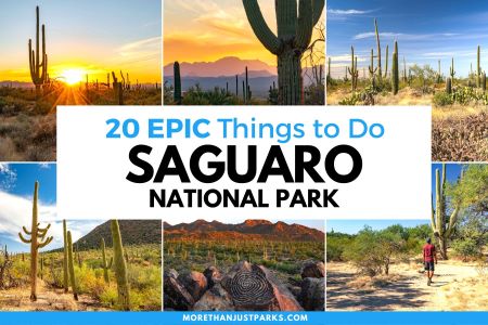 saguaro-national-park.jpg
